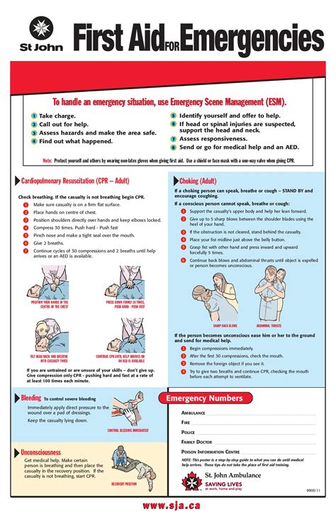 Free First Aid Adult 2023