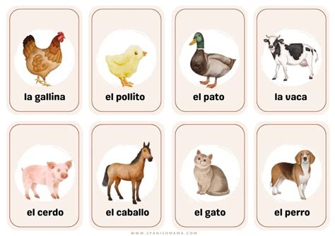 Free Flashcards about Spanish farm animals