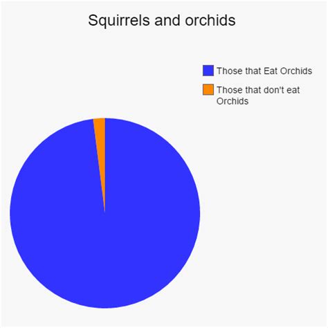 Free Meme and Pie Chart Generator