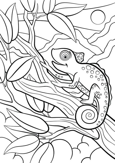Free Mixed Up Chameleon Activity Pages