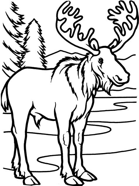 Free Moose Coloring Pages