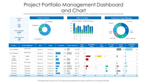 Free Ms Project Templates Of Project Portfolio Dashboard Template