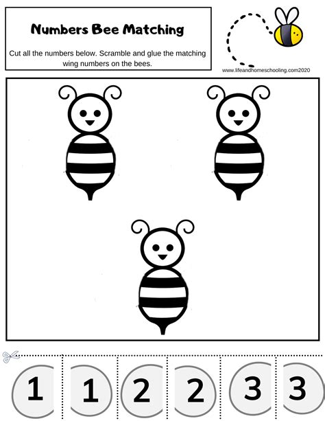 Free Number Sequencing Preschool Matching Worksheets Worksheets Library