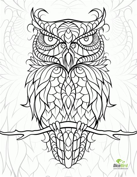Free Owl Adult Coloring Pages To Print Coloring Home