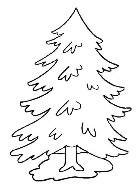 Free Pine Tree Coloring Pages