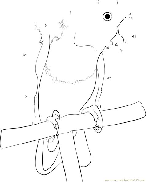 Free Printable Animal Dottodot Parrot Pattern Worksheets For