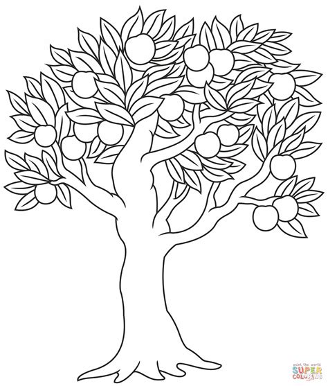 Free Printable Apple Tree Coloring Pages High Resolution Printable