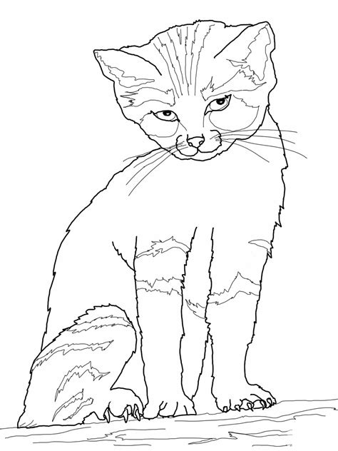 Free Printable Coloring Pages Cats