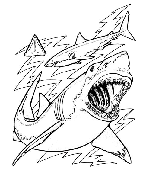 Free Printable Coloring Pages Sharks
