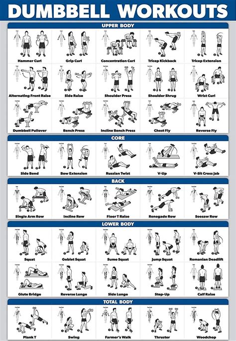Free Printable Dumbbell Workout Chart Printable And Enjoyable Learning