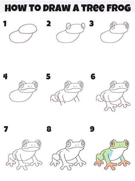 Free Printable How To Draw A Tree Frog - myfav.pics