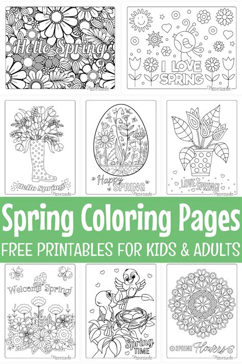 Free Printable Printable Spring Coloring Pages