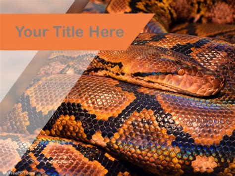Free Python Powerpoint Templates Myfreeppt Com