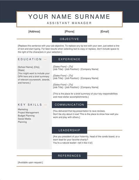 Free Resume Templates For Microsoft Word Download Now