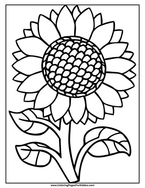 Cornucopia Coloring Pages