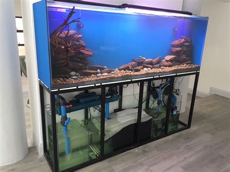 Free aquarium tank. Up to 10 Gallon Fish Tank. Immersing yourself in the world of aquatic life becomes accessible and straightforward with Petco's selection of fish tanks up to 10 gallons. These specially designed aquariums cater to spaces that demand compactness without compromising the richness of an underwater ecosystem. 