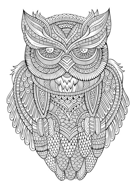 Free book owl Owls Adult Coloring Pages