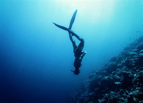 Free diving. Things To Know About Free diving. 