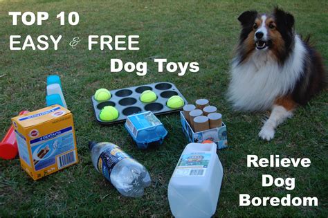 Free dog stuff. There are a handful of places for owners to get free or low-cost dog food samples. These sources will never provide enough free food to keep your dog well-fed, … 