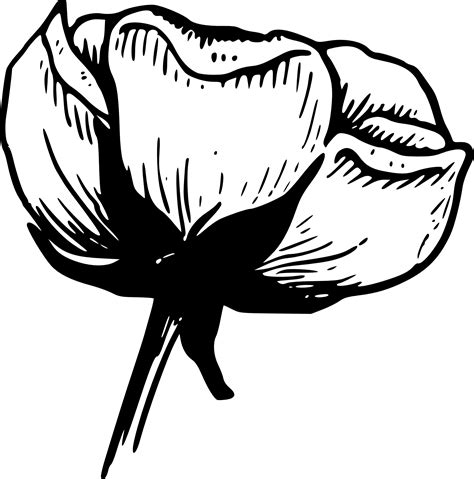 Free flower clip art black and white. Things To Know About Free flower clip art black and white. 