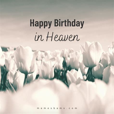 Free happy birthday in heaven images. B irthday Wishes for Sister from the Bible: “May the Lord bless you and keep you; may the Lord make his face shine on you and be gracious to you; may the Lord turn his face toward you and give you peace.”. – Numbers 6:24-26. Happy birthday, dear sister. May God’s blessings be upon you, even in heaven. 