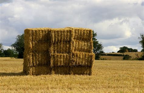 Free hay stack Photos & Pictures FreeImages