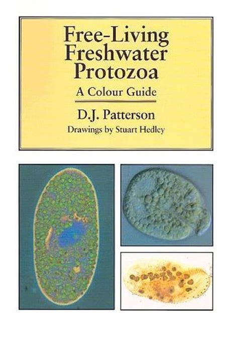 Free living freshwater protozoa a colour guide. - Sat study guide 2015 sat prep and practice questions.