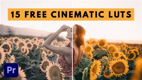Free luts for premiere pro reddit. .  Whether you're aiming for subtle We would ...