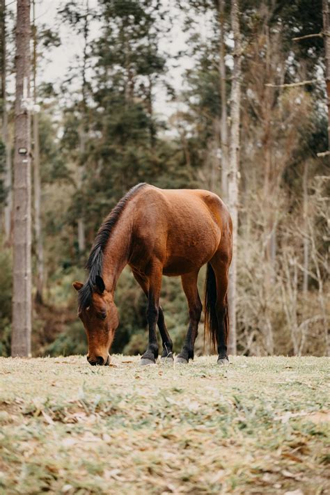 Free natural amateur boob videos. .  <a href=https://lookrussian.ru/hg1hz/madi...