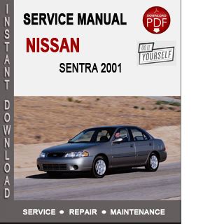 Free nissan sentra 2001 repair manual. - 95 tigershark daytona jet ski manual.