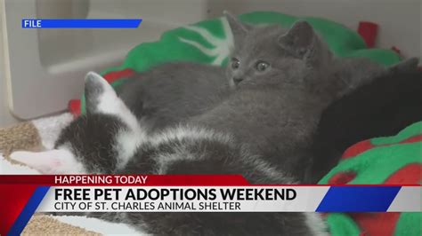 Free pet adoptions this weekend in St. Charles