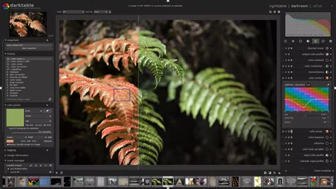 Free programs like photoshop. If you’re like most people who have edited an image or two online, you might be familiar with the term “layer” and the role a layer plays in an image. Adobe Photoshop’s layer featu... 