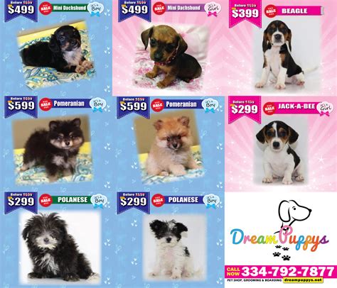 Free puppies dothan al.ht.... Things To Know About Free puppies dothan al.ht.... 