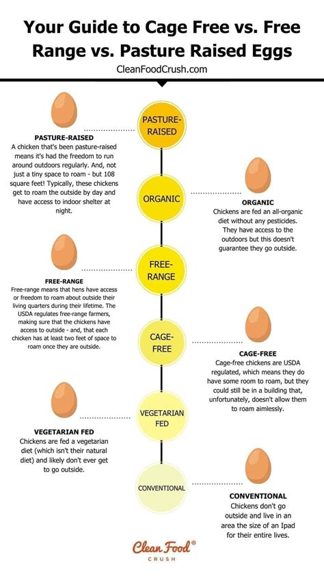 Free range vs pasture raised eggs. Sep 22, 2023 · 'Conventional' eggs, from Grade A to cage-free. The cheapest eggs at the grocery store, around $2-$4 depending on where you live, are generally those collected from hens bred in captivity ... 
