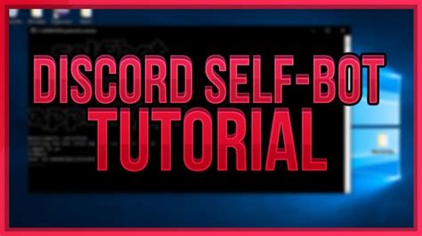 Free self bot discord.  discord bot tutorial, how to create discord bot, discord aut...
