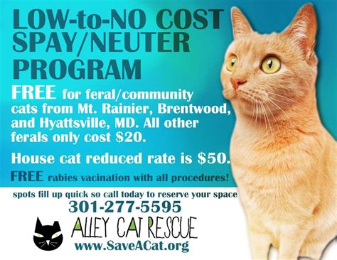 Free spay for cats near me. Changing the Lives of Cats in our Community. Our goal is to end cat homelessness and overpopulation through education, affordable spay/neuter, adoption, and TNR. In 2021, we found new forever homes for more than 1,000 cats and kittens and facilitated spay/neuter surgeries for nearly 2,500 low-income owners and animals in foster care. 