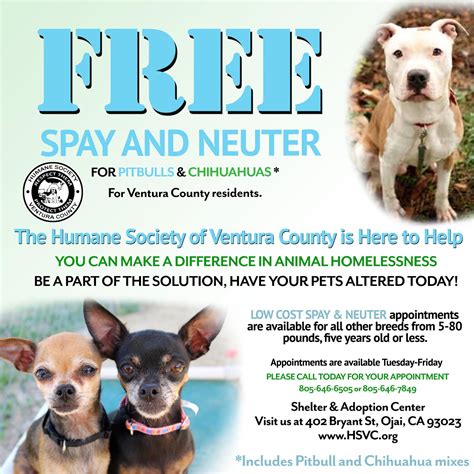 Free spay neuter clinic near me. Clients can expect premium care, quick recovery and personalized experiences here at Arizona Spay and Neuter. Feel free to stop by our shot clinics Monday-Thursday 1pm-4pm. Please note we are closed for shot clinic on Fridays. Contact Us (520) 624-5005 4 W. Grant Road, Tucson, AZ 85705 N/W corner of Stone & Grant 1 mile east of I-10. Map; … 