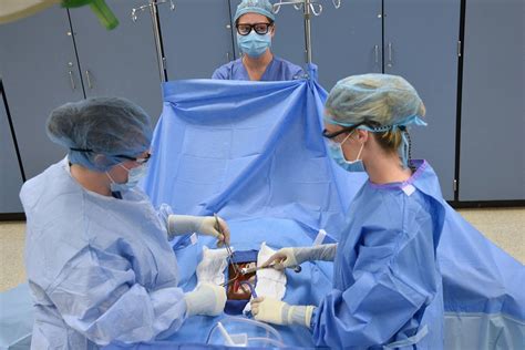 Free surgical tech programs. Things To Know About Free surgical tech programs. 