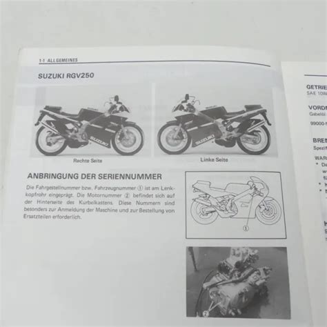 Free suzuki rgv 250 service handbuch. - Legal advanced transport phenomena solution manual.