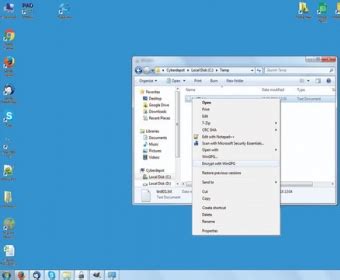 Wingpg 1. 0 Moveable for Independent Update