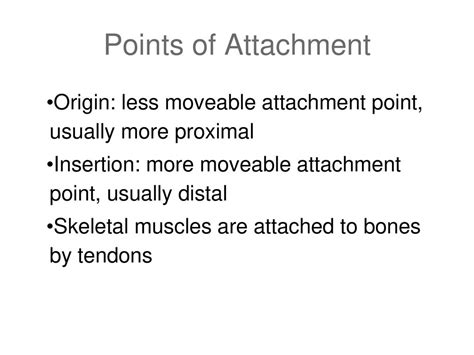 Update Portable Affinity Designer 1.7.2 for costless.