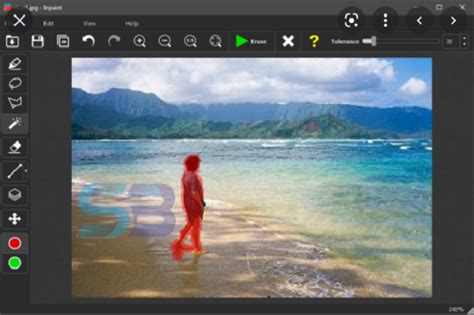 Free access of moveable Teorex Inpaint 9.0