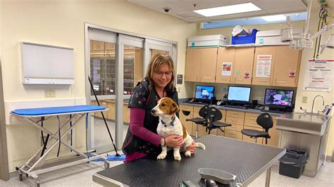 Dr. Arneson started Animal Doctor Veterinary Clinic in 1998, Animal Doctor Westside in Manhattan, KS (with Dr. Michelle Iseman) in 2017, and Animal Doctor Blue Hills in Manhattan, KS in 2019. Dr. Arneson’s husband, Ty, oversees the day to day operations of all three veterinary clinics. Dr.. 