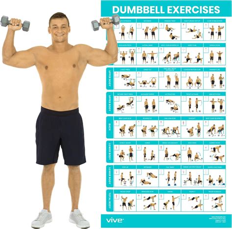 Free weight exercises 
