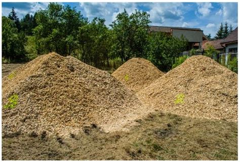 Free Wood Chips. 7/15 · West Sacramento. hide. no image. Free Fill Dirt or Wood Chip Dump Site. 7/14 · Shingle Springs/Cameron Park Area. hide. more from nearby areas (sorted by distance) search a wider area. . 
