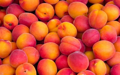 Free.Peaches Onlyfans Leak XxX 32 Photos