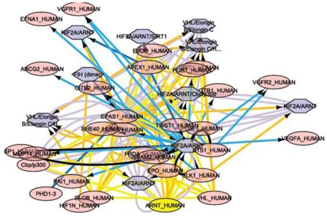 FreeMOL Open-Source Modeling Platform - Bioinformatics