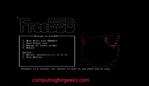 Freebsd kvm. conf: virtio_p9fs_load="YES" Virtual Machine /etc/fstab...