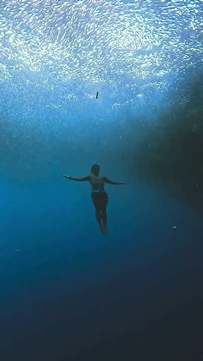 Freediving sexy. Diving without fins is often considered the purest form...
