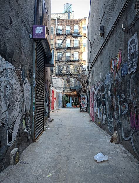 Freemans alley. I worked at a trendy restaurant in the Lower East Side serving tap water and artichoke dip to humanity. This is my story. 